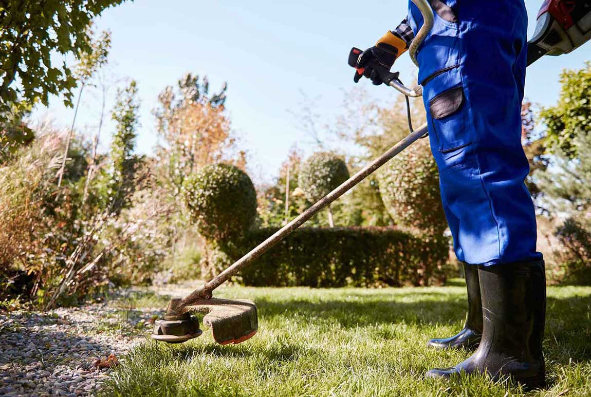 Beat the Heat: 7 Steps to Help Your Lawn Survive the Summer